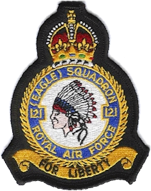 <span class="mw-page-title-main">No. 121 Squadron RAF</span> Defunct flying squadron of the Royal Air Force