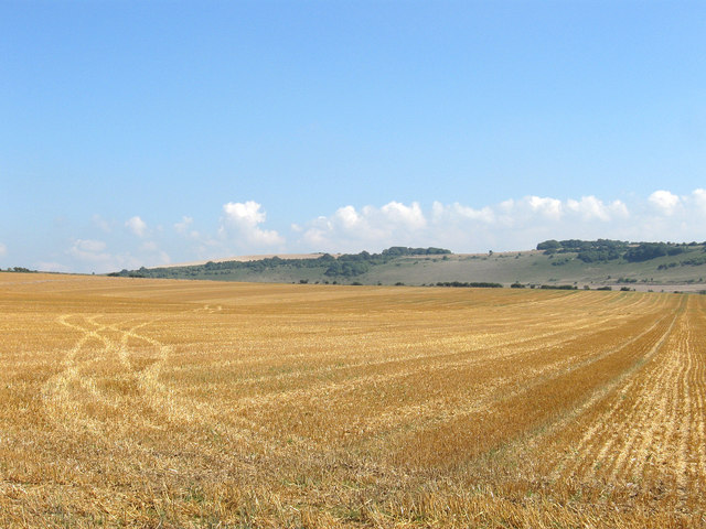 File:Old Denshire-Barn Field-New Denshire - geograph.org.uk - 3630603.jpg