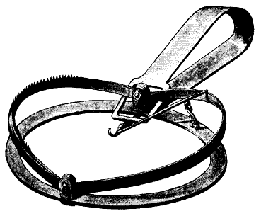 Gun-powered mousetrap - Wikipedia