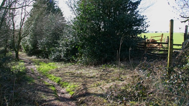 File:Timber Lane - geograph.org.uk - 363262.jpg