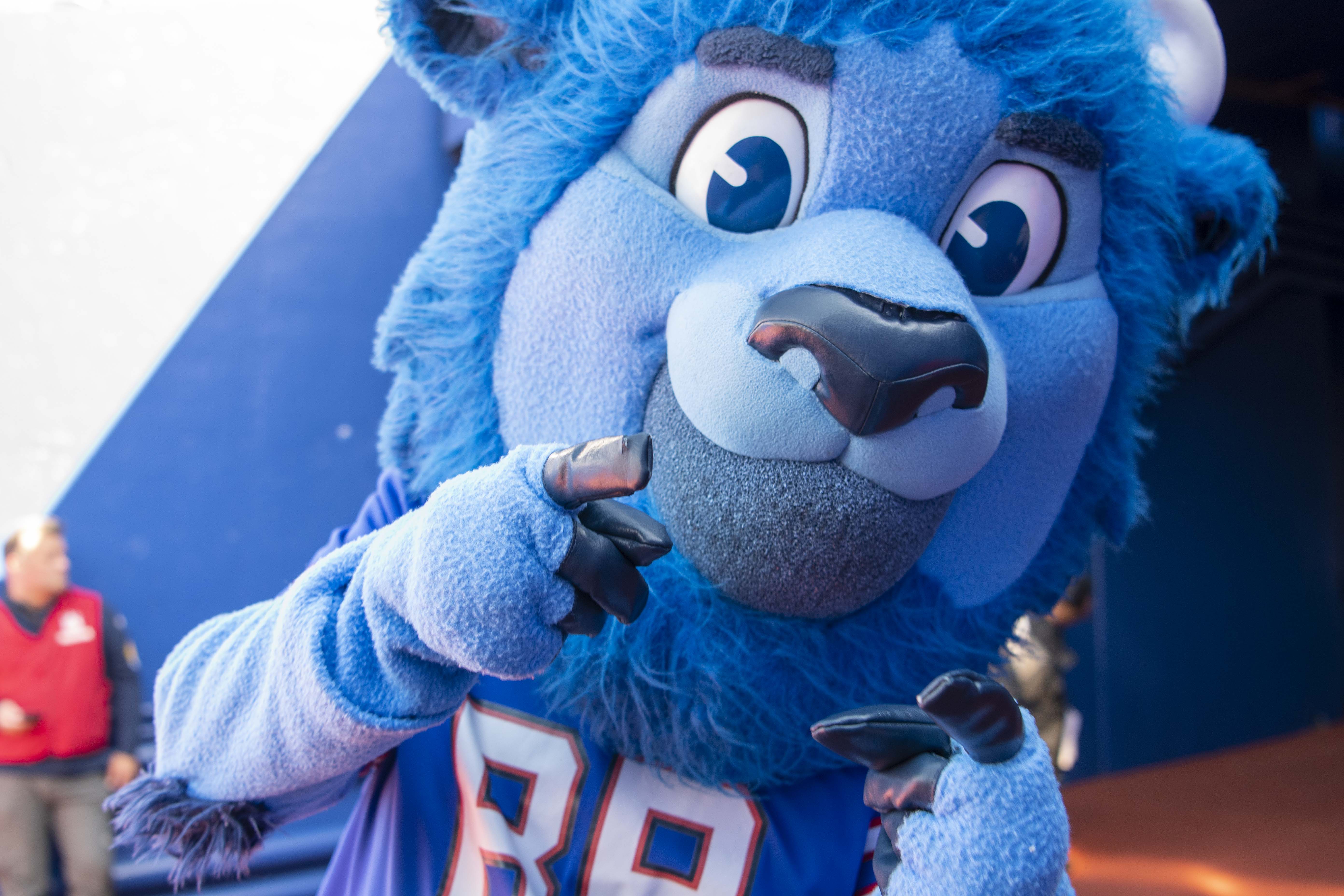 Buffalo Mascot Costume