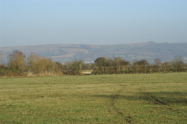 Wedmore Moor - geograph.org.uk - 113373