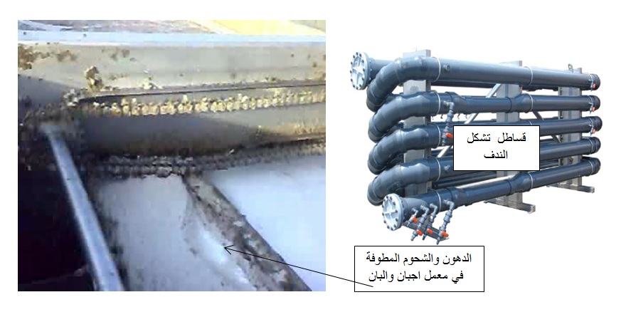 وحدة تطويف دهون وشحوم في معمل البان واجبان 6