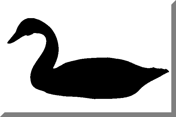 File:600px Bianco con cigno Nero.png