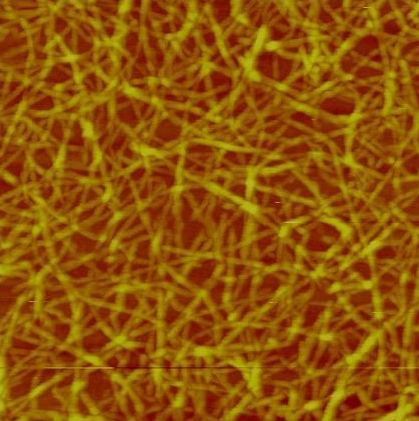 AFM height image of carboxymethylated nanocellulose adsorbed on a silica surface. The scanned surface area is 1 µm2.