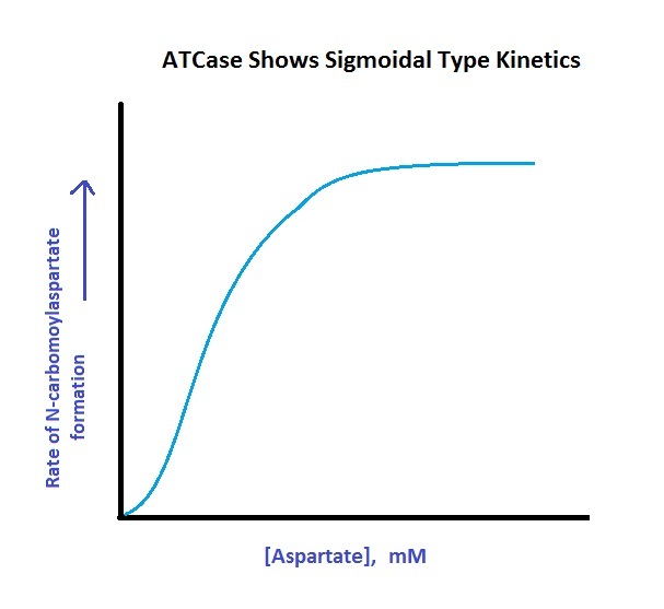 File:ATCase Sigmoidal Kinetics.jpg