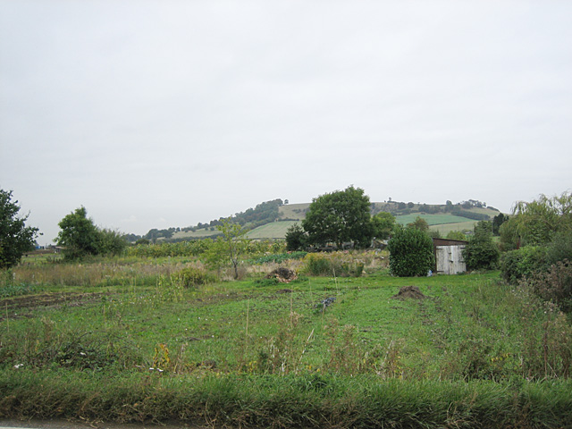 File:Allotments at Mickleton - geograph.org.uk - 60804.jpg