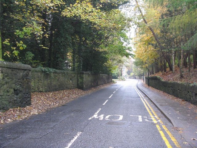 File:Autumn in Abbey Road - geograph.org.uk - 1035579.jpg