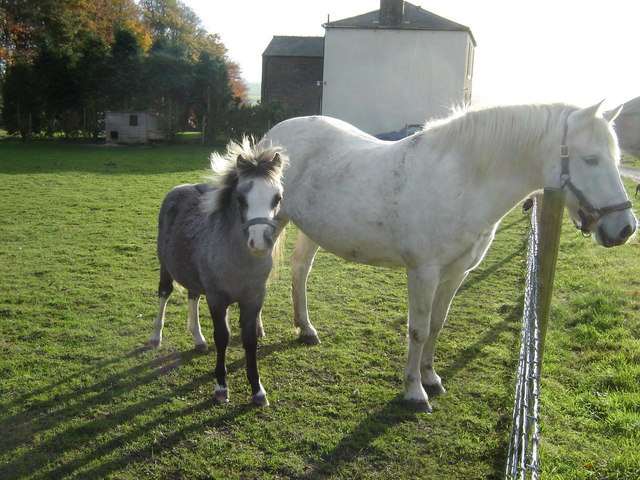 File:Burdale North Wold Farm. - geograph.org.uk - 1037186.jpg