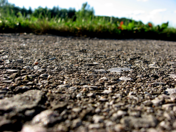 File:Closeup of pavement with grass.JPG