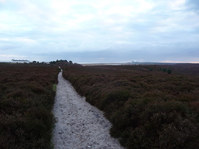 File:Dunwich Heath - geograph.org.uk - 1618493.jpg