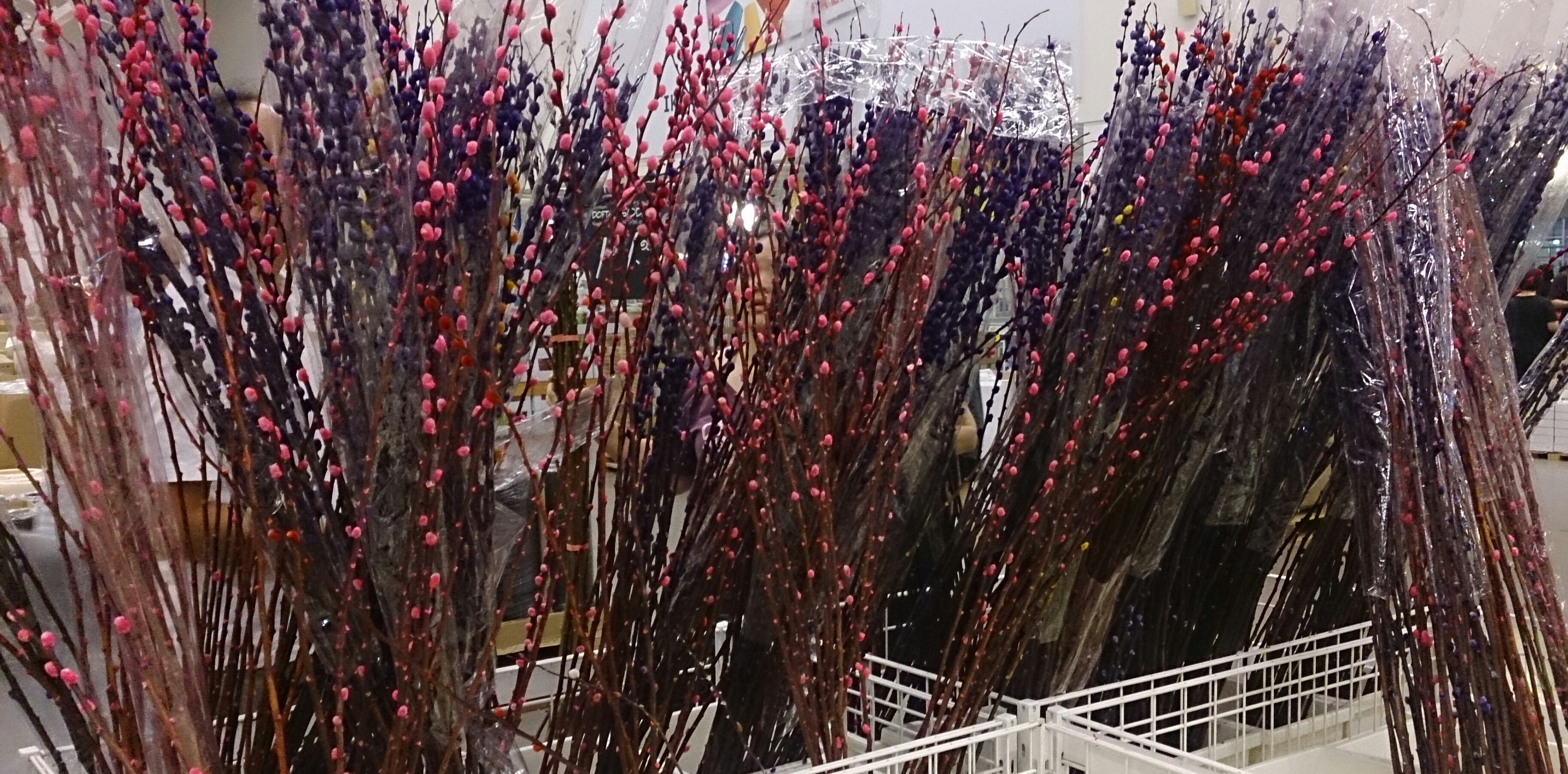 Dyed pussy willows for chinese new year.jpg. 