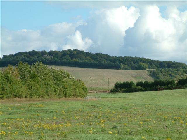 File:Ewelme Downs - geograph.org.uk - 54424.jpg