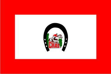 File:Flag clubhipicoastur.png