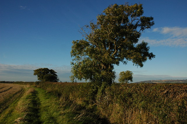 File:Footpath near Claydon Farm - geograph.org.uk - 1044690.jpg