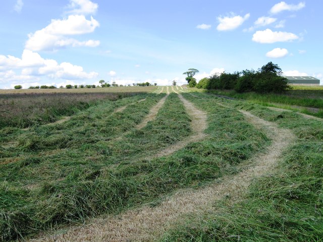 File:Hay making - geograph.org.uk - 4053101.jpg