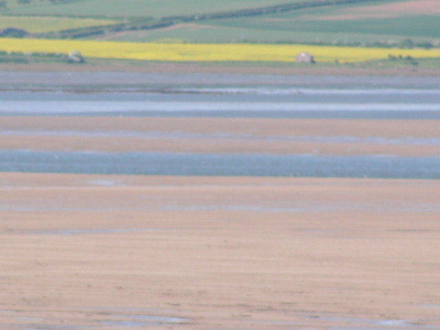 File:Holy Island Sands - geograph.org.uk - 180004.jpg