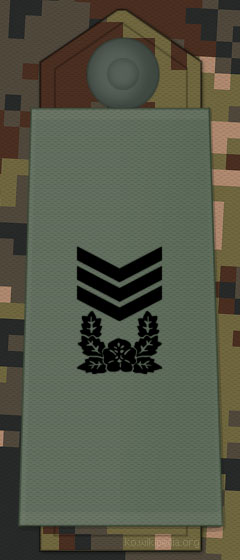 File:KA insignia Master Sergeant.jpg