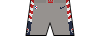 Kit shorts washingtonwizards city2021.png