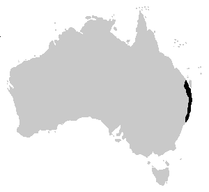 Litoria brevipalmata distrib.png