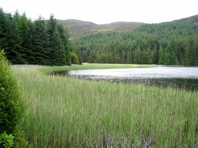 Lochan Lairig Cheille - geograph.org.uk - 873285