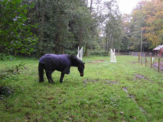 File:Lover's Retreat, Omagh - geograph.org.uk - 264690.jpg