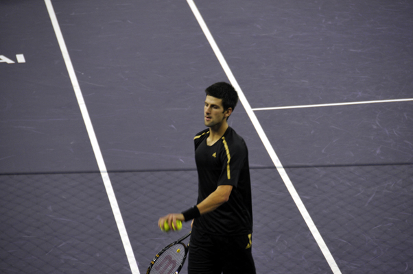 File:Novak Djokovic during the 2008 Tennis Masters Cup final.jpg