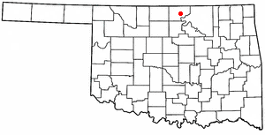 <span class="mw-page-title-main">Kildare, Oklahoma</span> Town in Oklahoma, United States