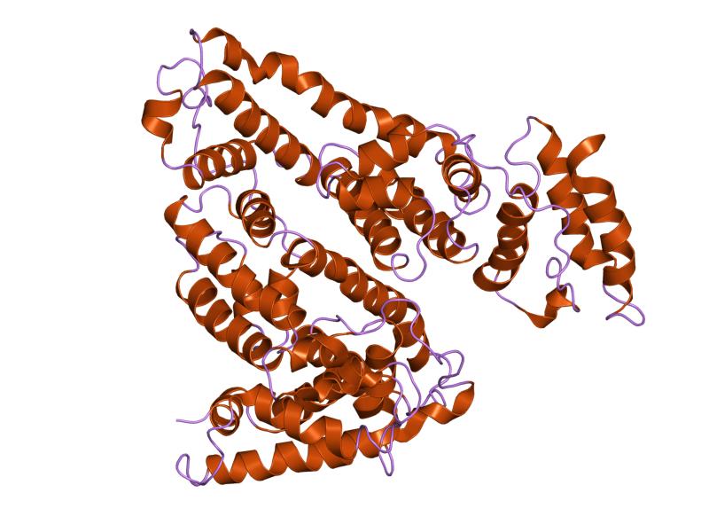 File:PDB 1uor EBI.jpg