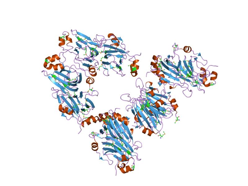 File:PDB 1yud EBI.jpg