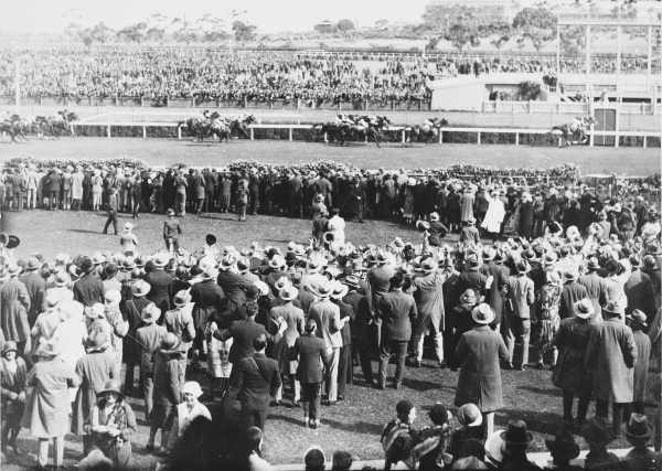 File:Pharlap1930melbournecup.jpg