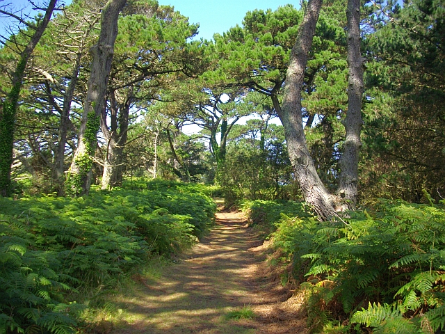 Trenoweth, Isles of Scilly