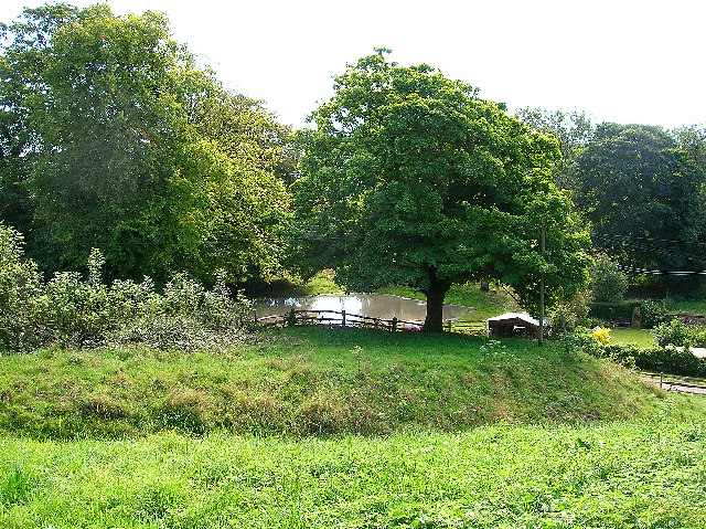 File:Pond, Saddlescombe - geograph.org.uk - 54911.jpg