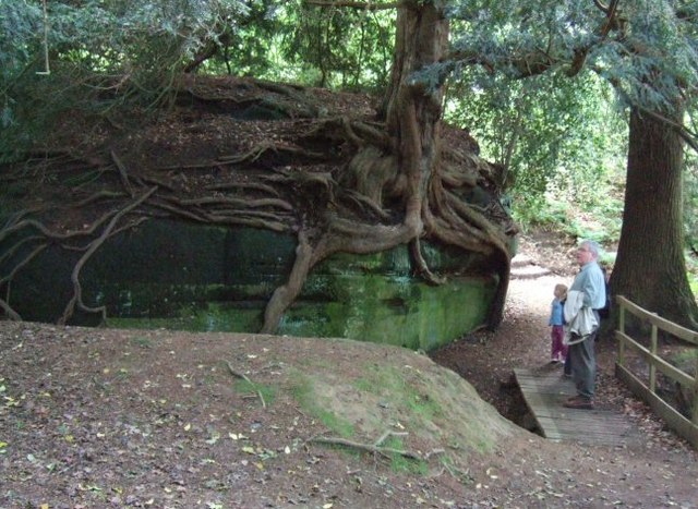 File:Rock Walk - geograph.org.uk - 175928.jpg