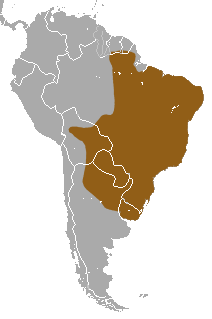 Ses-striita Armadelo area.png