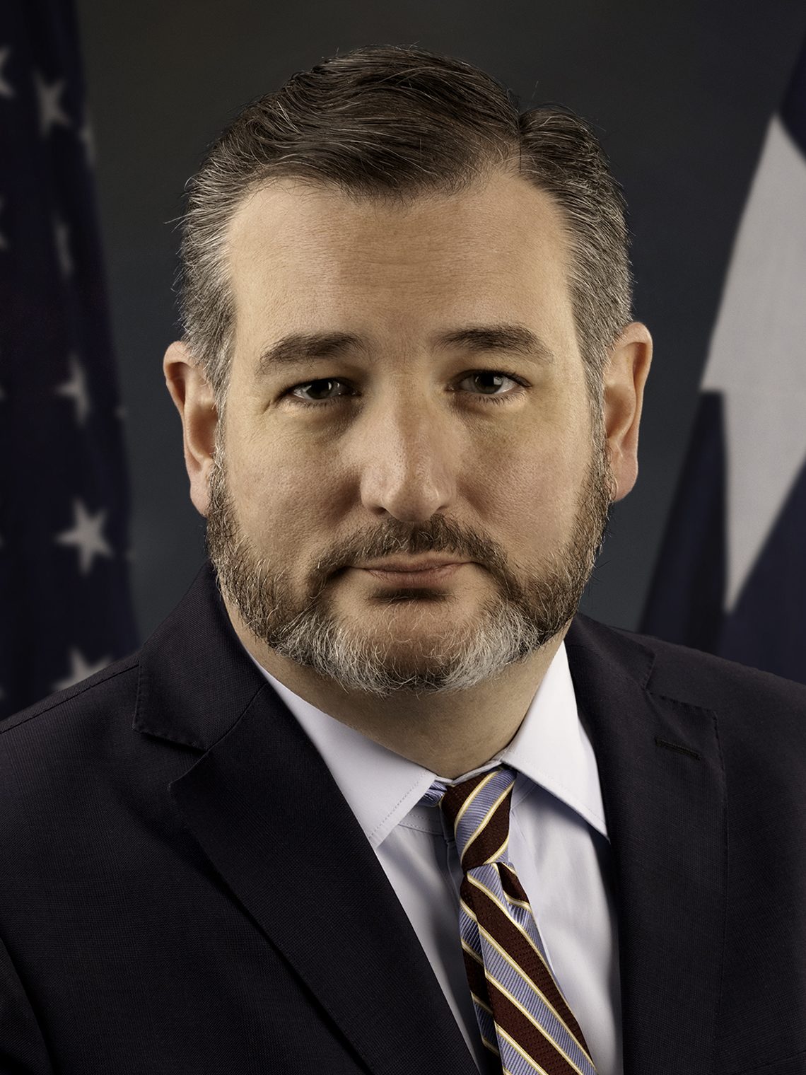 Ted Cruz Wikipedia