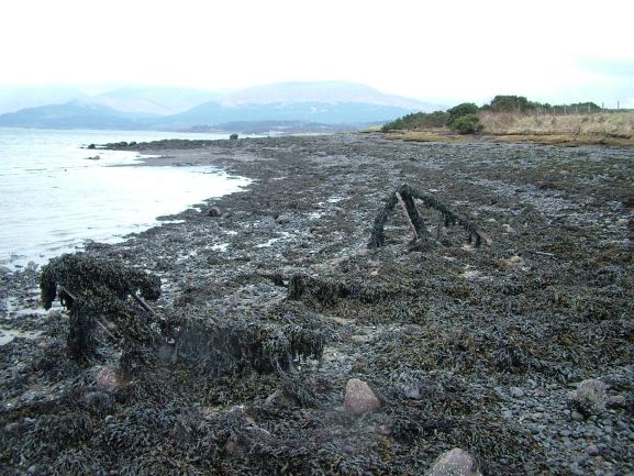 File:The Point of Rubha Mor, Loch Creran - geograph.org.uk - 346834.jpg