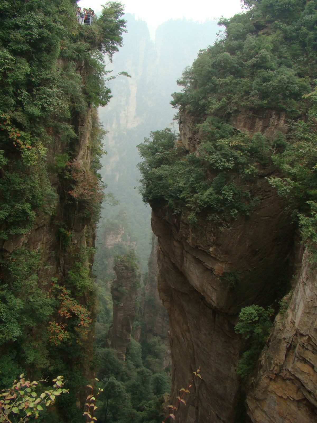 File 张家界国家森林公园 天子山 Panoramio 欧治 16 Jpg Wikimedia Commons