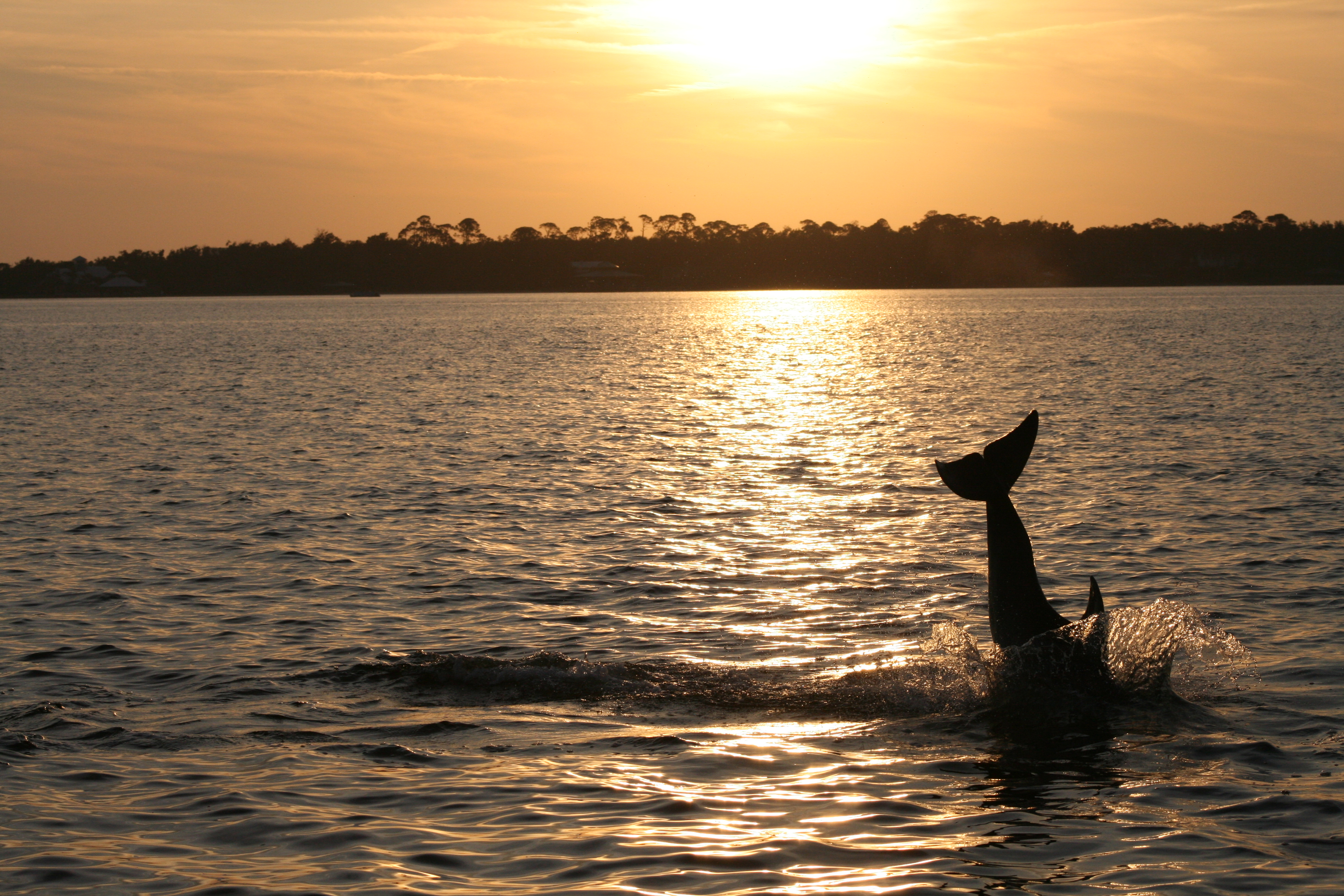 File Alabama S Coastal Connection Sightseeing Cruise At Sunset In Orange Beach Nara Jpg Wikimedia Commons