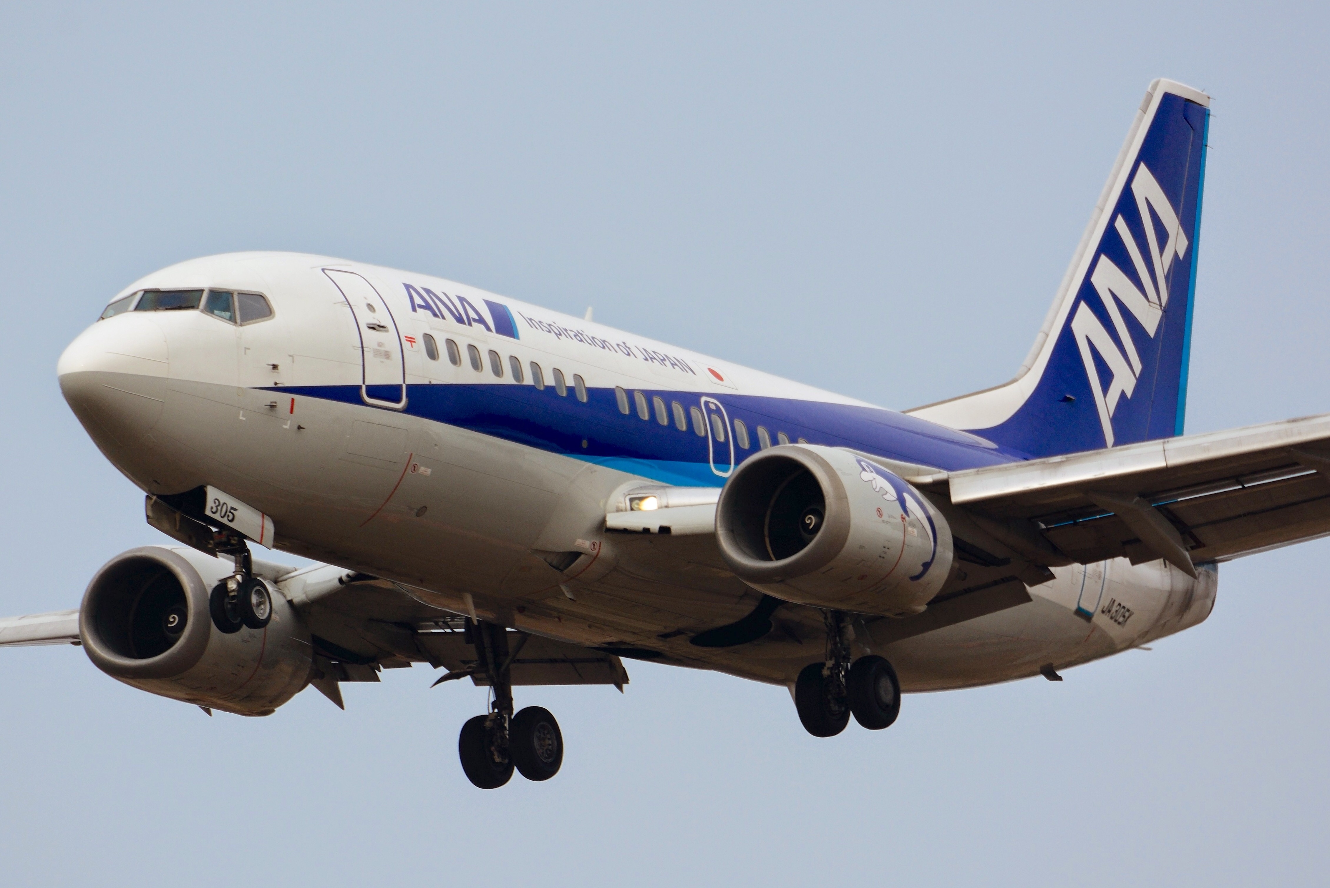 File:All Nippon Airways Boeing 737-500 JA305K NRT (16781378477