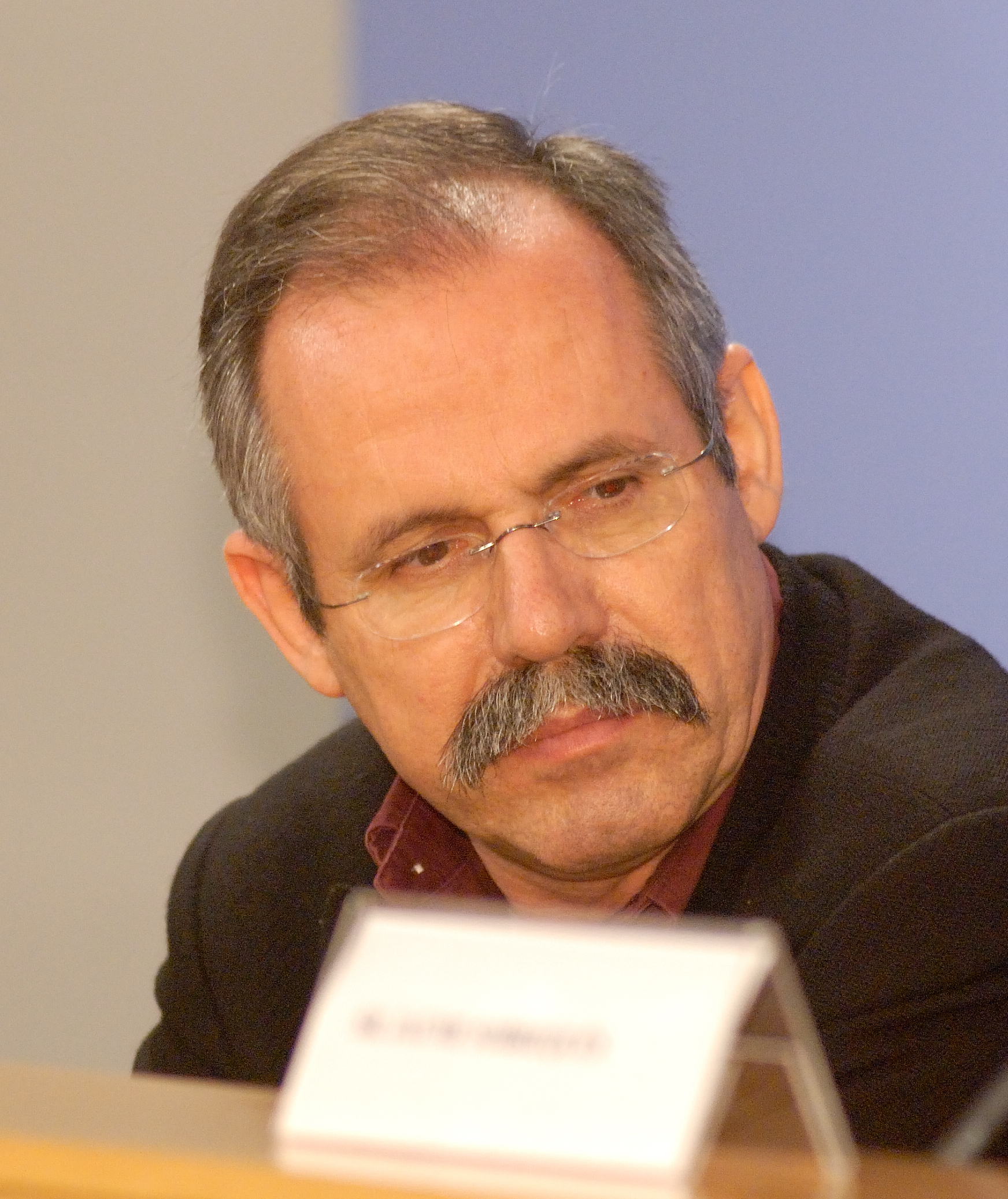 Dalmau in 2008