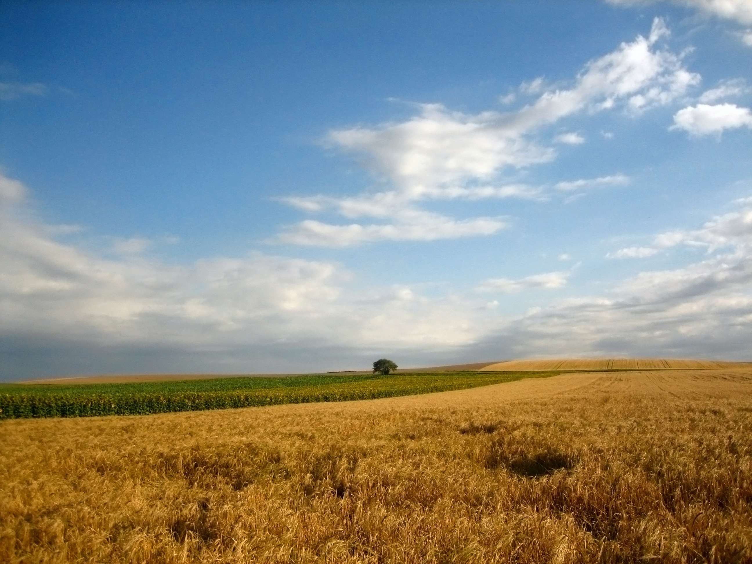 File Big Summer Sky Jpg Wikimedia Commons