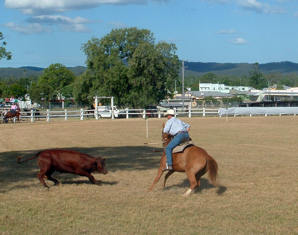 Sport in rural and regional Australia