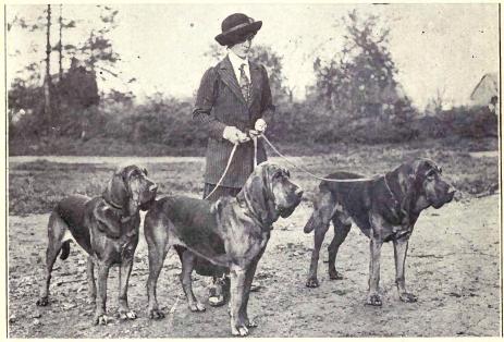 File:Bloodhound from 1915.jpg