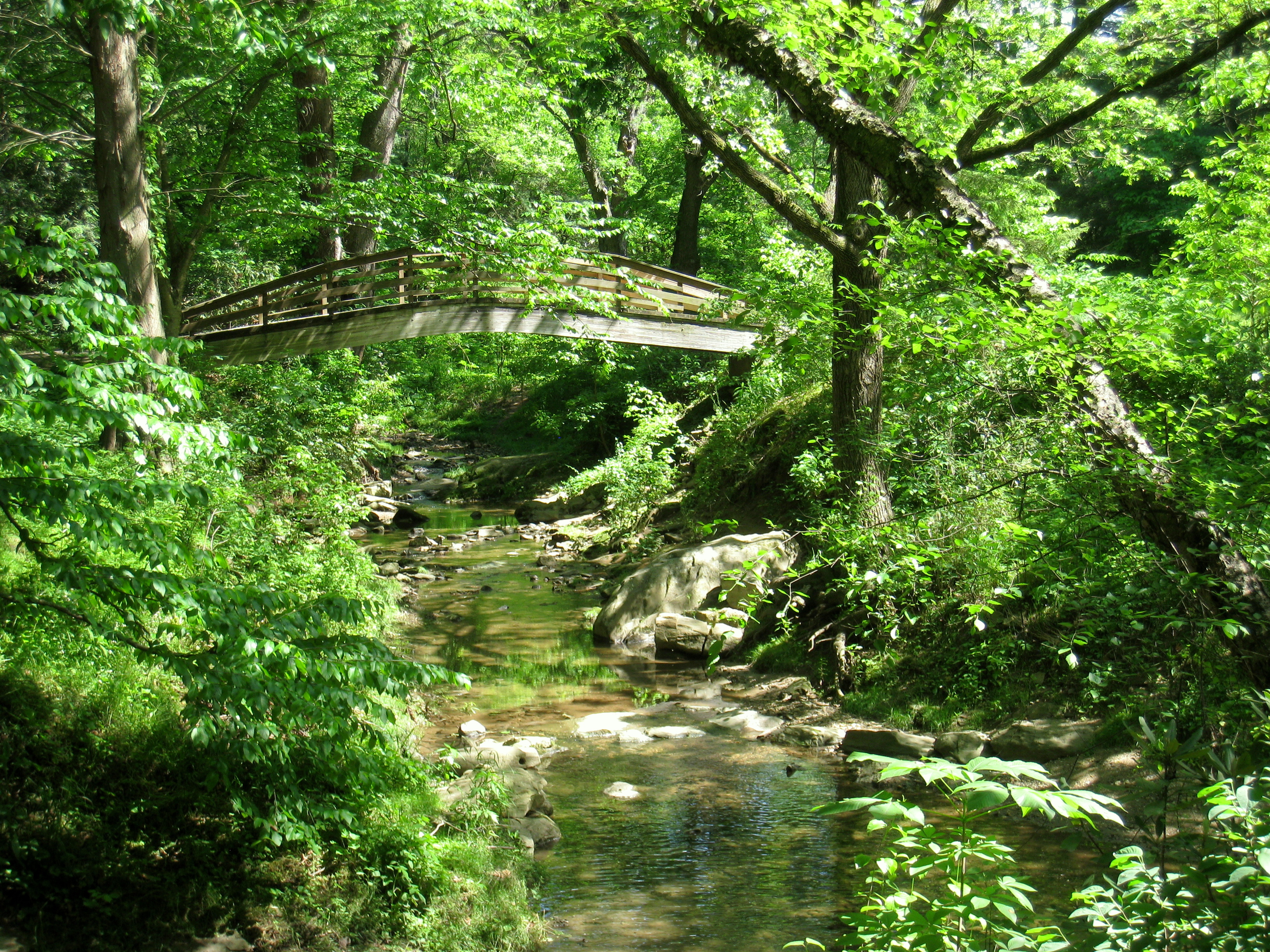 File Botanical Gardens At Asheville Bridge 2 Jpg Wikimedia Commons