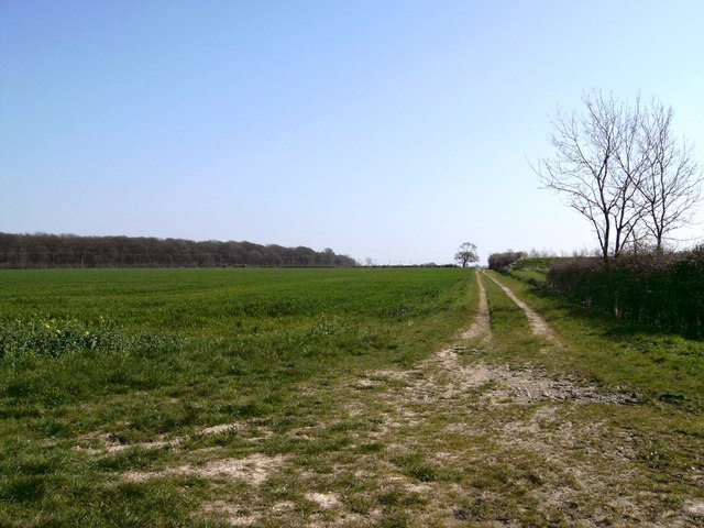 File:Bridleway and Woods - geograph.org.uk - 406936.jpg