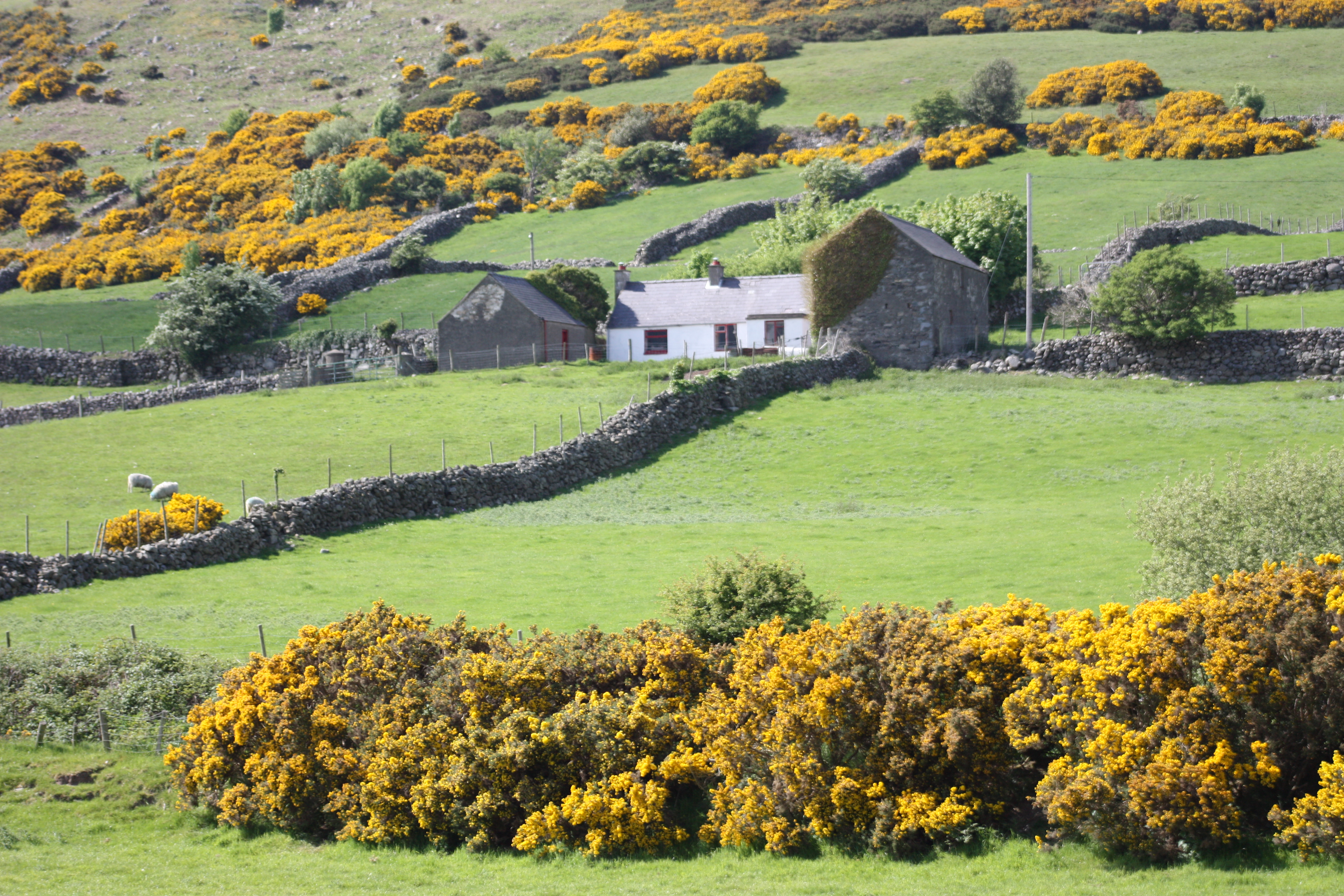 File Castlewellan countryside  May 2010 13 JPG 