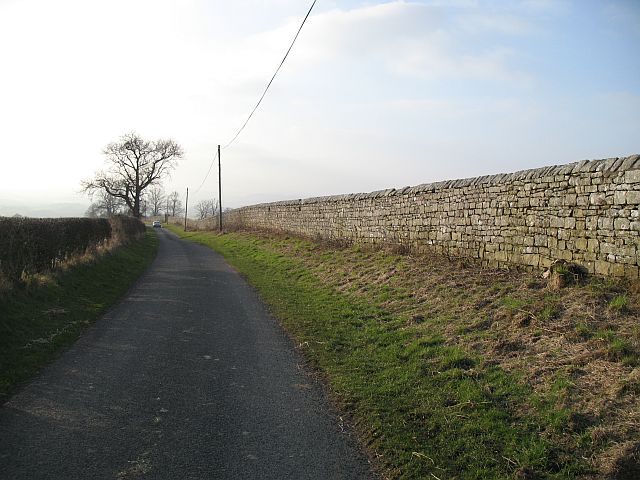 File:Chillingham policy wall - geograph.org.uk - 693381.jpg