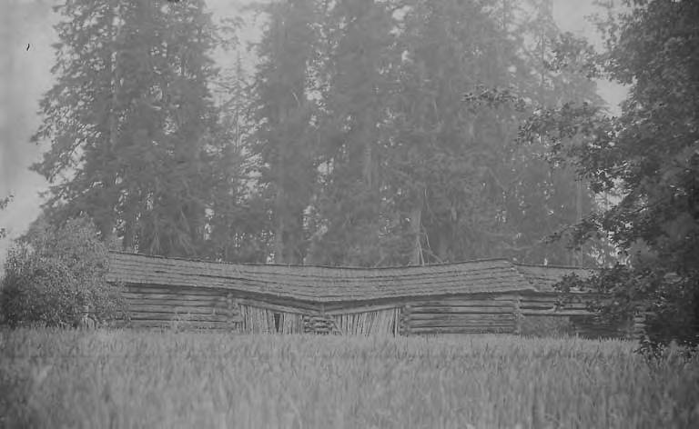 File:Collapsing barn and tall grass, ca 1895 (WASTATE 2481).jpeg