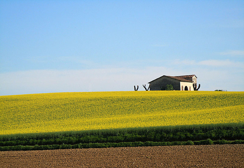 File:Colline moreniche del Lago Garda.JPG